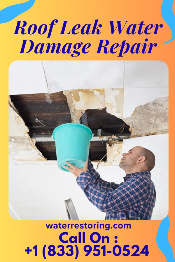 Roof Leak Water Damage Repair in Beallsville, PA