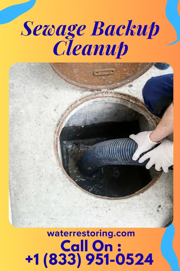 Sewage Backup Cleanup in Beallsville, PA