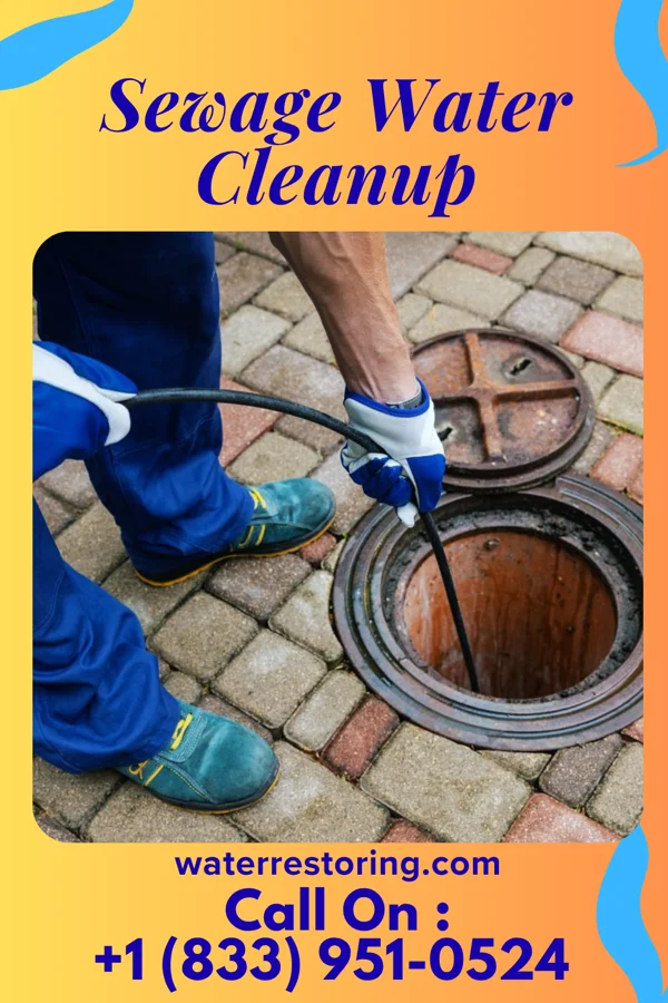 Sewage Water Cleanup in Beallsville, PA