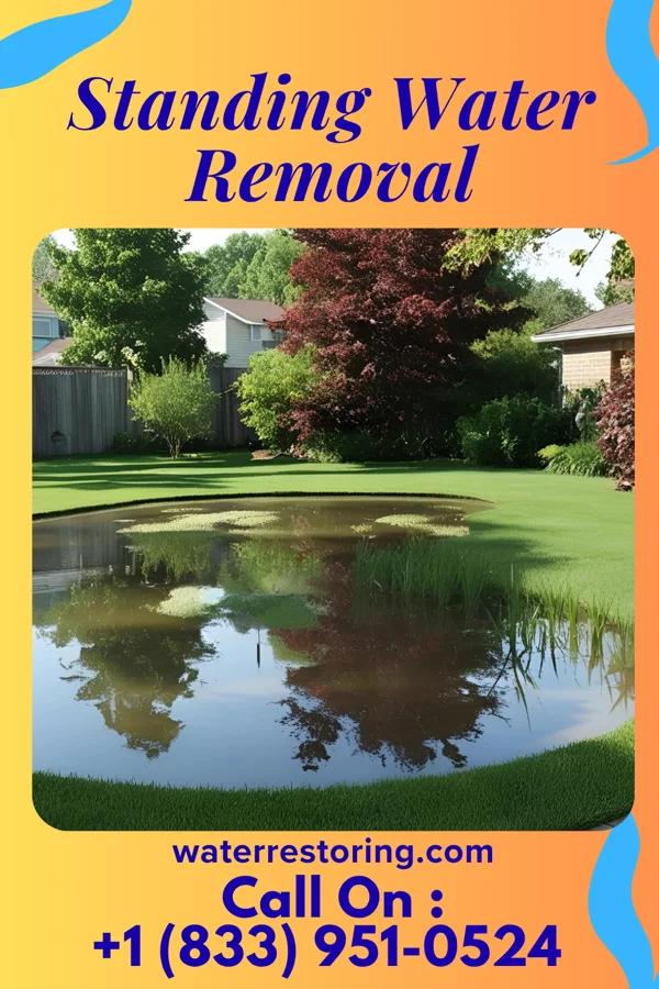 Standing Water Removal in Beallsville, PA